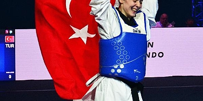 Tekvandoda millilerden 5 altın, 1 gümüş, 1 bronz madalya